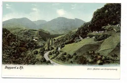 [Ansichtskarte] 5407 BOPPARD, Mühltal, Blick vom Kronprinzenweg, ca. 1905. 