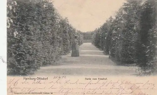 [Ansichtskarte] 2000 HAMBURG - OHLSDORF, Partie vom Friedhof, Knackstedt & Näther 1904. 