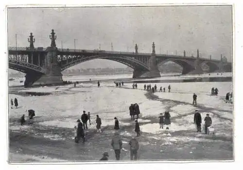 [Ansichtskarte] 6500 MAINZ, Der zugefrorene Rhein, 1929. 