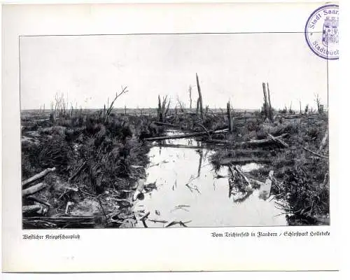 B 8900 YPERN / IEPER - HOLLEBEKE, 1.Weltkrieg, Trichterfeld im Schlosspark Hollebeke, Photo 24 x 16,7 cm
