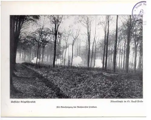 [Ansichtskarte] F 80360 ST. PIERRE VAAST WALD / RANCOURT, 1- Weltkrieg, Minenkämpfe im Wald, Photo 24 x 16,7 cm. 