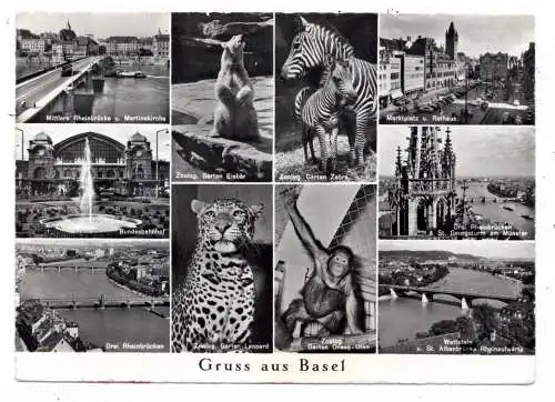 [Ansichtskarte] CH 4000 BASEL BS, 4 Zoo  Ansichten und weitere Bilder, 1957. 