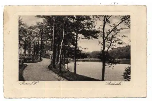 4650 GELSENKIRCHEN - BUER, Stadtwald, Verlag Arenhold