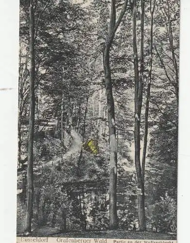 4000 DÜSSELDORF - GRAFENBERG, Grafenberger Wald, Partie an der Wolfsschlucht, 1929