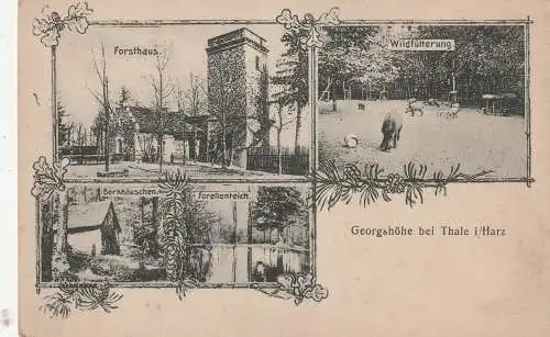 0-4308 THALE, Forsthaus Georgshöhe, Borkhäuschen, Forellenteich, Wildfütterung