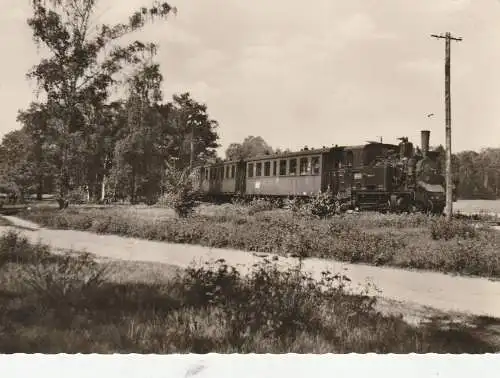 0-7543 LÜBBENAU, Schmalspurbahn "Spreewaldguste" - Blosanska Gusta, 1960
