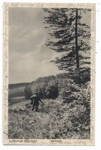 [Ansichtskarte] 5455 RENGSDORF - RÜSCHEID, Waldpartie, Wanderer, 1919. 