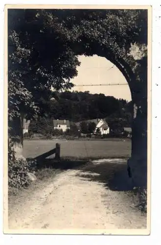 [Ansichtskarte] 4542 TECKLENBURG, bei Haus Mark. 