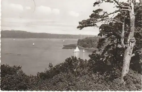 1000 BERLIN - WANNSEE, Blick von Blockhaus Nikolskoe auf die Pfaueninsel
