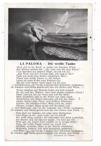 MUSIK - LIEDER, "La Paloma" - Die weisse Taube