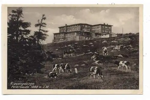 BÖHMEN & MÄHREN -SPINDLERMÜHLE / SPINDLERUV MLYN, Peterbaude, Verlag Höckendorf