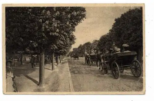 A 1000 WIEN, Prater Hauptallee, Droschken, Kilophot 1917