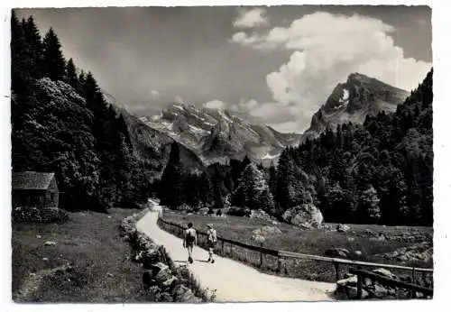 [Ansichtskarte] CH 9657 WILDHAUS - UNTERWASSER SG, Weg zum Aelple - Graeppelensee. 