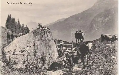 [Ansichtskarte] CH 6390 ENGELBERG OW, Auf der Alp, Verlag Häckl. 