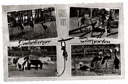 [Ansichtskarte] 2933 JADE, Tiergarten / Zoo, 1964. 