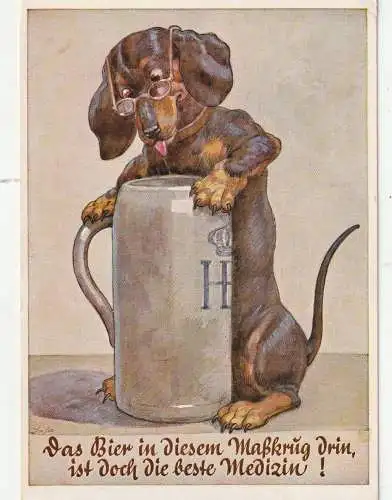 [Ansichtskarte] HUNDE - DACKEL / Teckel / Dachshund / Bassotto, Bier Humor. 