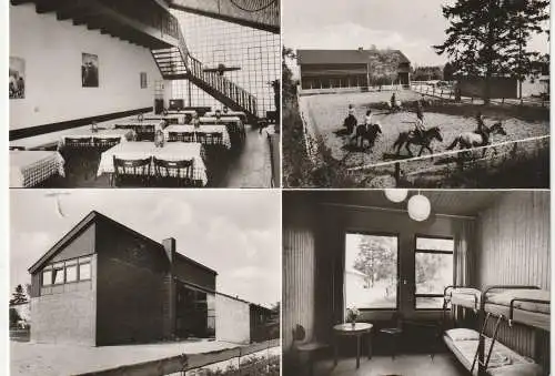 [Ansichtskarte] 5464 ASBACH - BUCHHOLZ - OBERSCHEID, Kinder Reit- und Erholungszentrum Siebengebirge. 