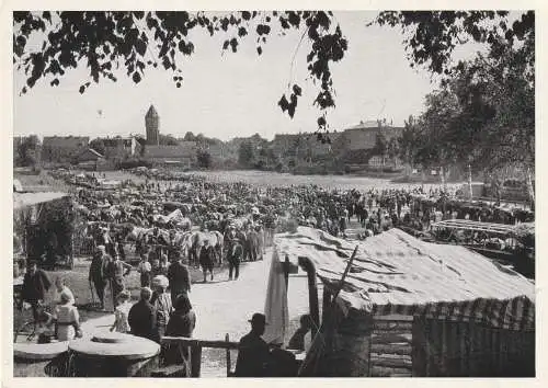 OSTPREUSSEN - WEHLAU / SNAMENSK, Pferdemarkt, Nachkriegskarte