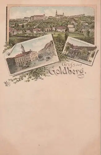 NIEDER - SCHLESIEN - GOLDBERG / ZLOTORYJA, Lithographie Restaurant Bürgerberg, Markt, Gesamtansicht