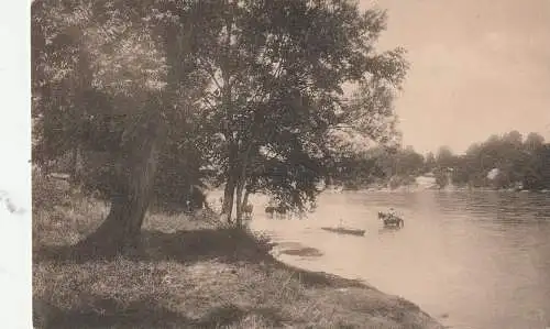 [Ansichtskarte] CH 4127 BIRSFELDEN BL, Am Rhein bei Birsfelden, Pferdetränke, Ruderboot, 1909, Verlag Suter. 