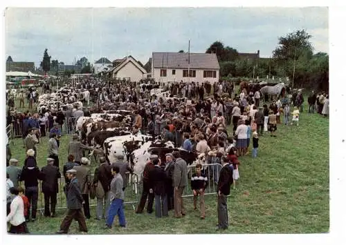 LANDWIRTSCHAFT - VIEHMARKT - La Chapelle Souef