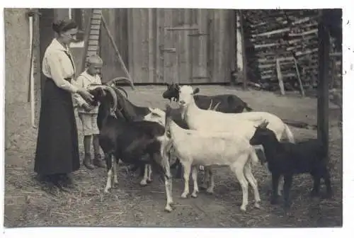LANDWIRTSCHAFT - Bauernhof / Ziegen / Goats, Photo - AK