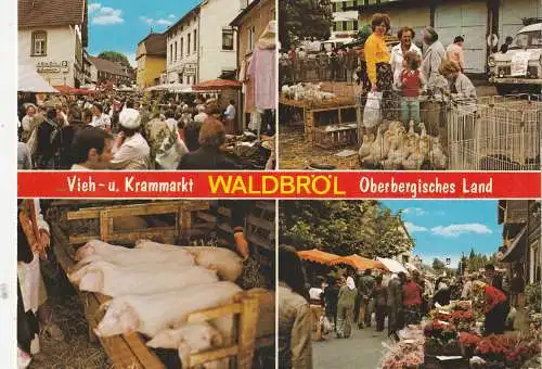 [Ansichtskarte] 5220 WALDBRÖL, Vieh- und Krammarkt. 