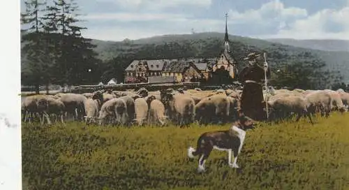 [Ansichtskarte] 5169 HEIMBACH - MARIAWALD, Abtei, Mönch mit Schafherde und Hütehund, Verlag Fischer. 