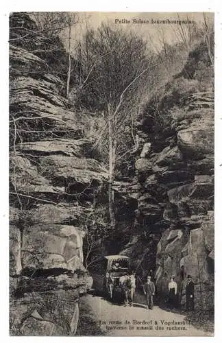 [Ansichtskarte] L 6551 BERDORF, Auf dem Weg zur Vogelsmühle mit Kutsche, 1923, Verlag Bellwald # 614. 