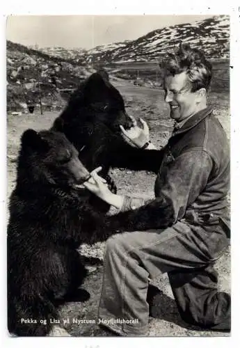 [Ansichtskarte] N 2985 TYINKRYSSET, Nystuen Hotel, Bjorner Pekka og Lisa, Bären / Bears, 1952. 