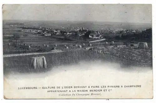 L 8818 GREIWELS, Werbekarte der Fa. Mercier Champagner Epernay, ca. 1900
