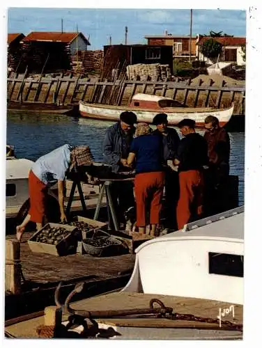 [Ansichtskarte] FISCHFANG - Sortieren der Austern, Hafen Arcachon. 
