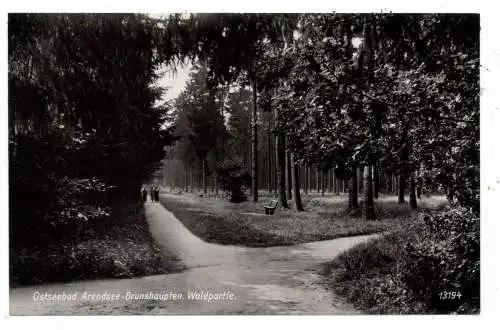 [Ansichtskarte] 0-2565 KÜHLUNGSBORN - ARENDSEE / BRUNSHAUPTEN, Waldpartie. 
