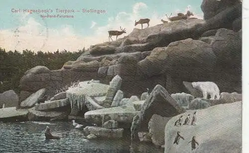 [Ansichtskarte] 2000 HAMBURG - STELLINGEN, Hagenbeck Zoo, Nordland Panorama, 1908. 