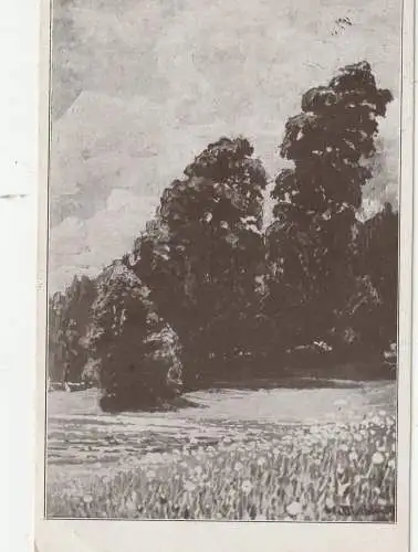 [Ansichtskarte] 7824 HINTERZARTEN, Künstler-Karte Professor Dischler, "Frühling im Schwarzwald", 1929. 