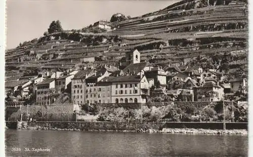 [Ansichtskarte] CH 1071 SAINT SAPHORIN VD, Blick vom Lavaux auf den Ort und die Weinberge, Verlag Sartori. 