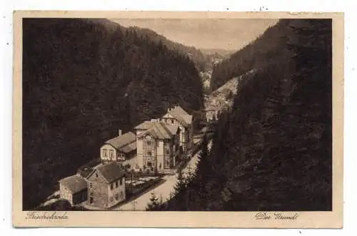 [Ansichtskarte] 0-5804 FRIEDRICHRODA, Der Grund, 1930. 