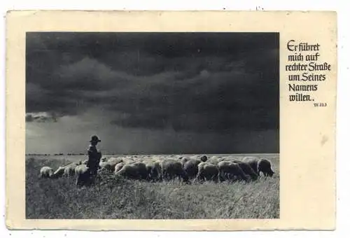 LANDWIRTSCHAFT - Schafhirte mit Herde, 1941, Feldpost 02133, Abs. Ottendorf-Okrilla