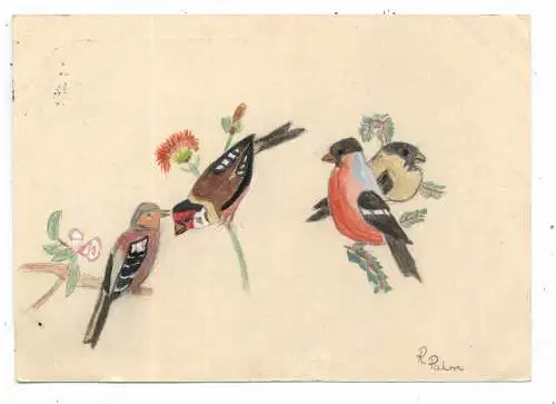 [Ansichtskarte] VÖGEL / BIRDS - Dompfaff, Distelfink, Buchfink, handgemalt, 1961. 