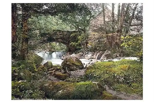 Altes Photochrome-Farbfoto Torrent Walk bei Dolgelly (Neudruck als Postkarte)