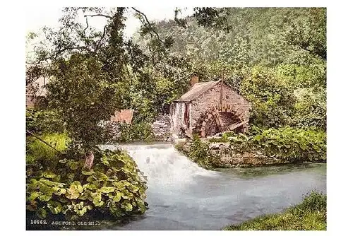 Altes Photochrome-Farbfoto Alte Mühle in Ashford (Neudruck als Postkarte)