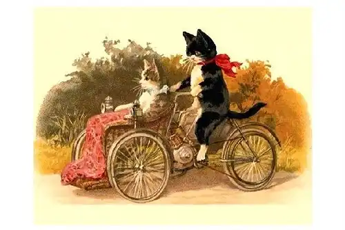 Alte Künstlerkarte Kater fährt Katze auf Dreirad spazieren (Neudruck als Postkarte)