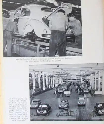 Vogts &quot;Start ins Leben&quot; Volkswagen-Historie 1954