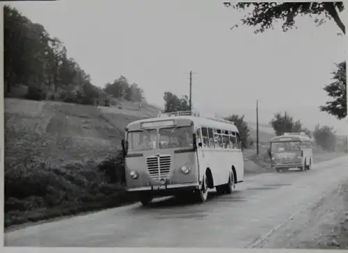 Büssing-NAG Busse auf Reisen Originalphoto 1953