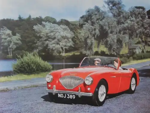 Austin Healey 100 Modellprogramm 1955 Automobilprospekt (7078)