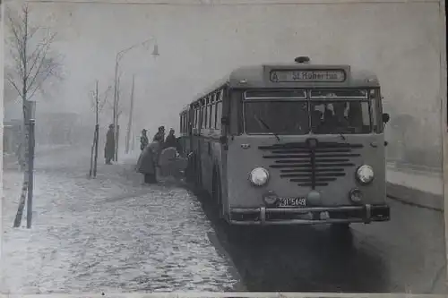 Büssing Omnibus Typ 5000 T 1954 Werksfoto (2154)