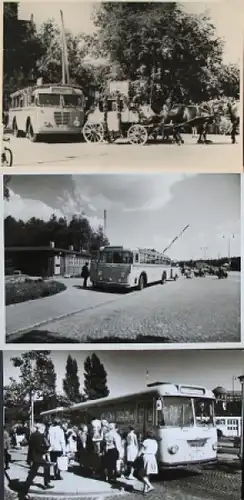 Büssing Omnibusse 1950-1964 drei Originalfotos (5740)