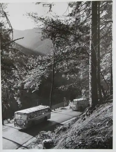 Büssing-NAG Bus auf Reisen durch Deutschland 1955 Werksfoto (5764)