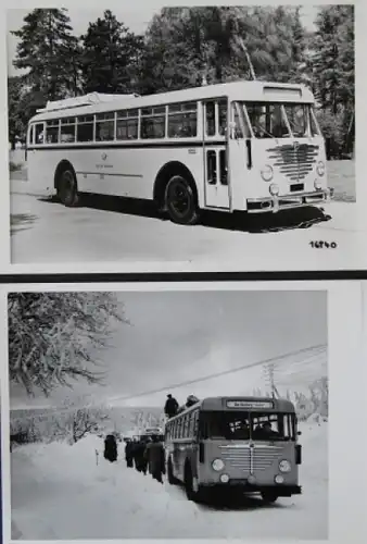 Büssing-NAG Bus Typ 6000 T im Siebertal 1951 zwei Werksfotos (5796)