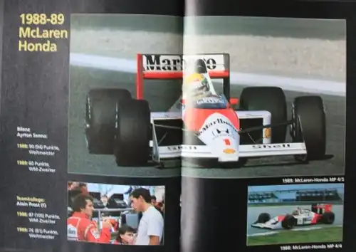 Schlang "Ayrton Senna - Leben am Limit" 1994 Senna-Rennfahrer-Biografie (5878)